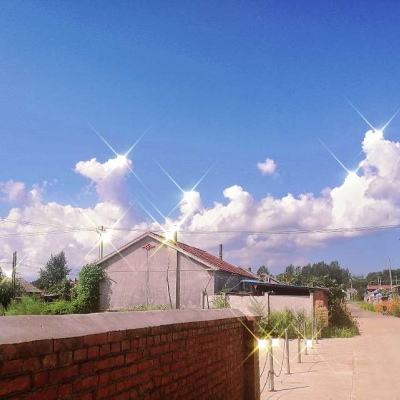 ayx爱游戏全站下载手机版