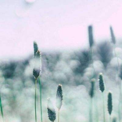 永盈会手机app下载