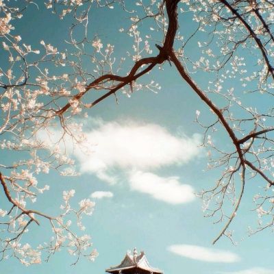 best365官网手机版下载手机版